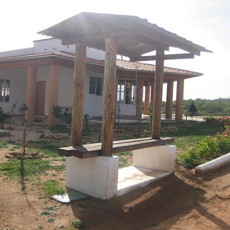 瓜达鲁佩镇 Little Nest En Rancho El Rossinyol旅馆 外观 照片
