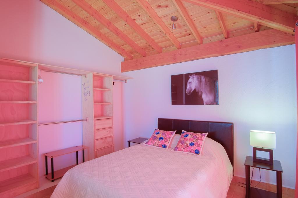 瓜达鲁佩镇 Little Nest En Rancho El Rossinyol旅馆 外观 照片