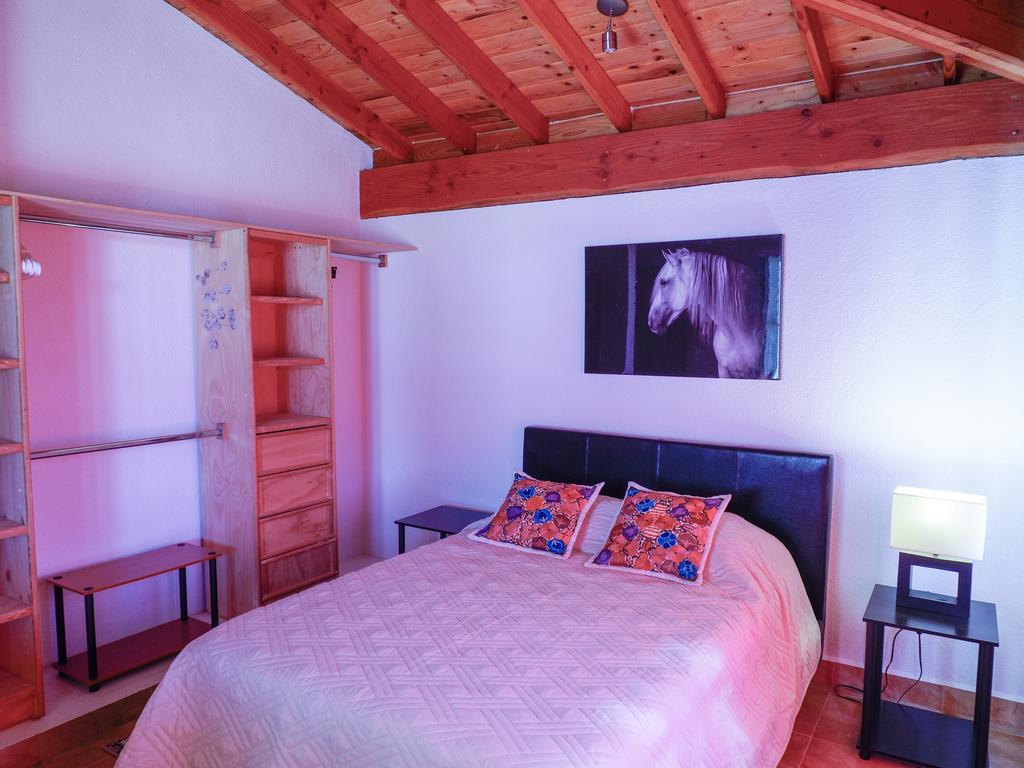 瓜达鲁佩镇 Little Nest En Rancho El Rossinyol旅馆 外观 照片