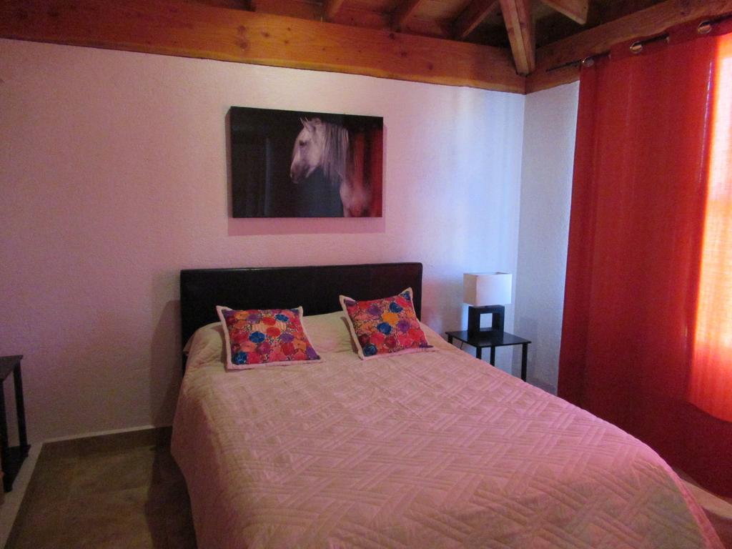 瓜达鲁佩镇 Little Nest En Rancho El Rossinyol旅馆 外观 照片